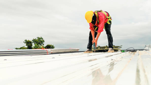 Best Roof Maintenance and Cleaning  in Avon, MN