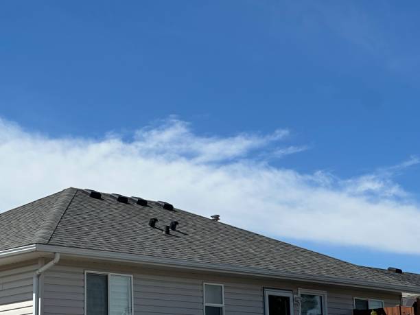 Best 4 Ply Roofing  in Avon, MN